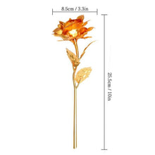Load image into Gallery viewer, 24K Gold Plated Rose Flower