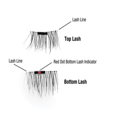Load image into Gallery viewer, 3 Seconds Magnetic Eyelash Kit