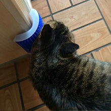 Load image into Gallery viewer, Cat Self Groomer